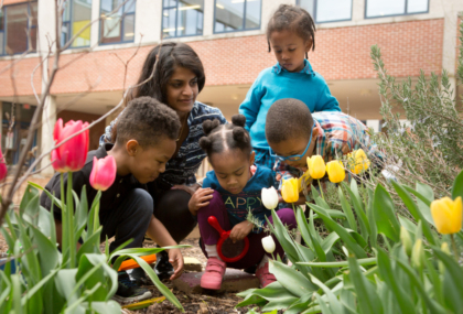 A group of 4 young children and a teacher examining the dirt in a garden of flowers. Photo credit: Allison Shelley/The Verbatim Agency for EDUimages