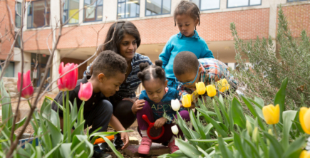 A group of 4 young children and a teacher examining the dirt in a garden of flowers. Photo credit: Allison Shelley/The Verbatim Agency for EDUimages