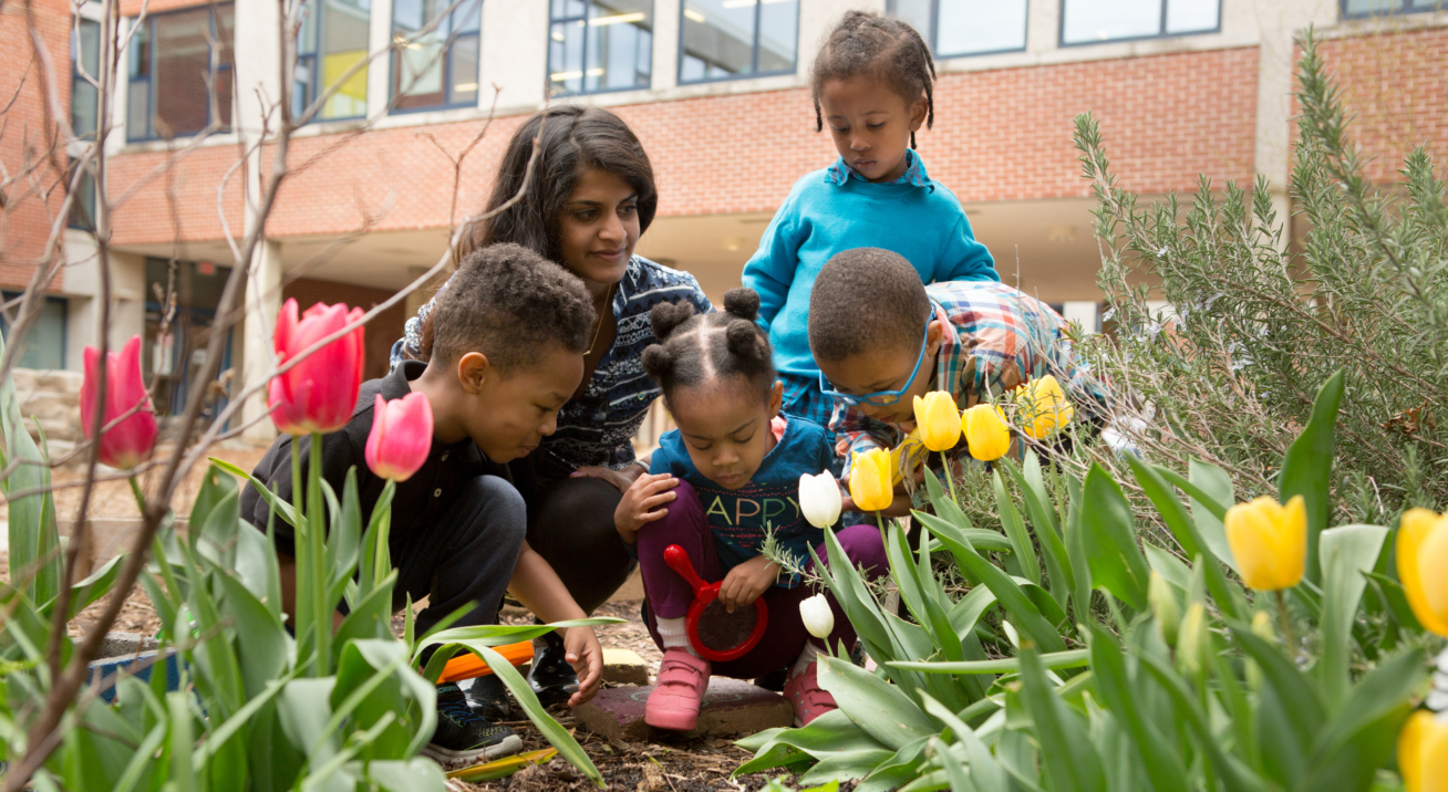 A group of 4 young children and a teacher examining the dirt in a garden of flowers.